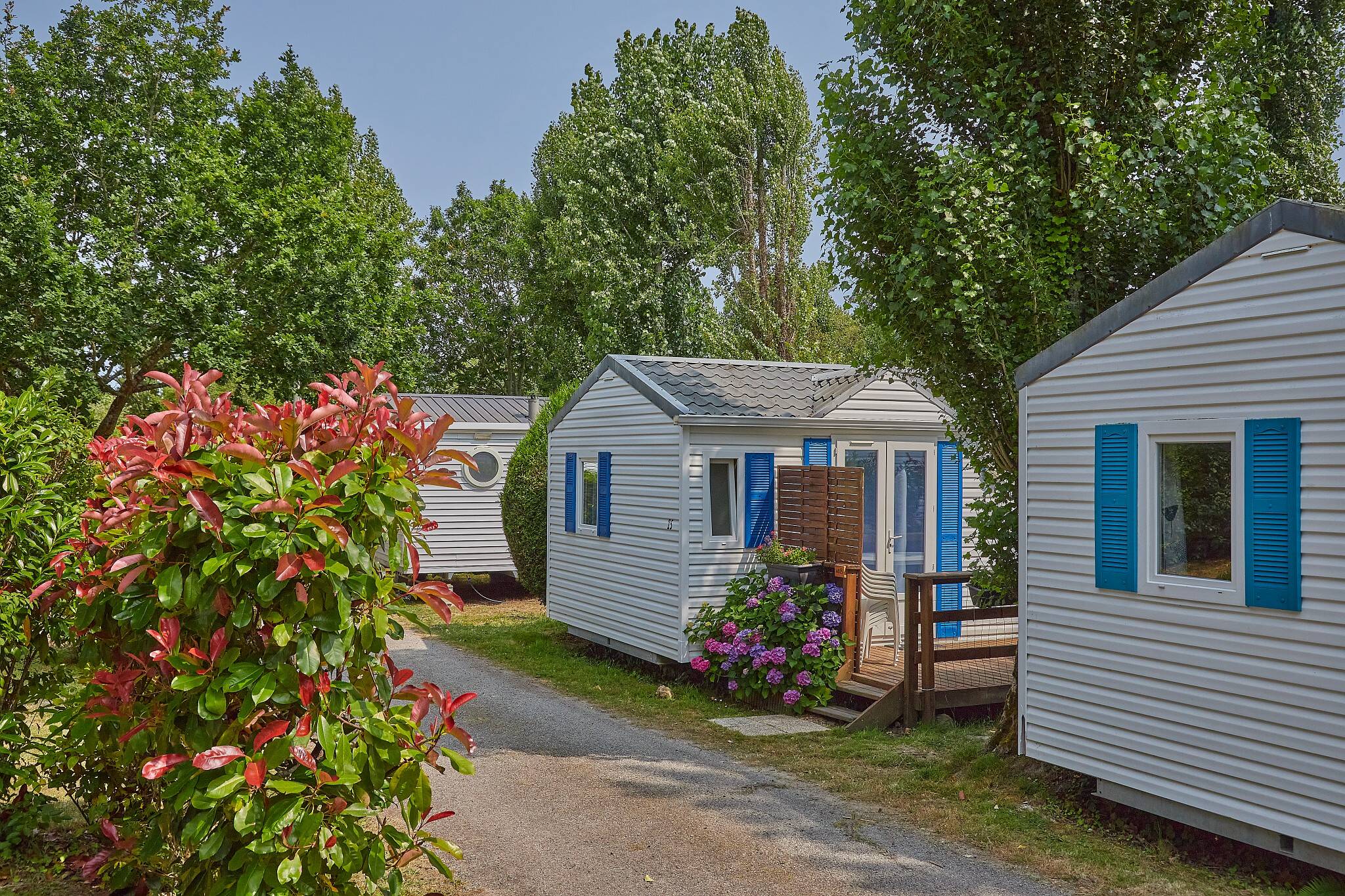 Camping Domaine de Kermario **** Bretagne photo 3 Tohapi